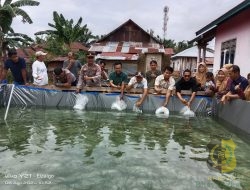 Pemerintah Nagari Koto Anau Tapan Salurkan 32 Ribu Bibit Ikan Nila Progran Ketahanan Pangan