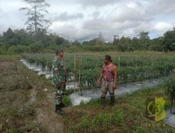 Koramil 1710-03/Kuala Kencana Komsos dengan Petani di Wilayah Binaan