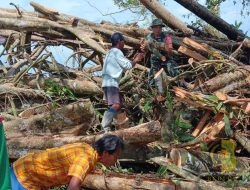 Babinsa Koramil Mapurujaya dan Warga Gotong Royong Bersihkan Pohon Tumbang