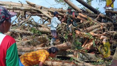 Babinsa Koramil Mapurujaya dan Warga Gotong Royong Bersihkan Pohon Tumbang