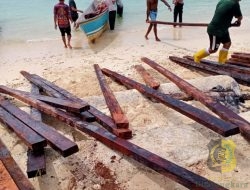 Satgas TMMD Kodim 1805/Raja Ampat Mengangkat Kayu ke Titik Sasaran dengan Cara Manual