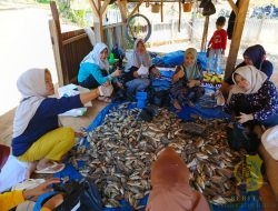 Masyarakat Nagari Talang Balarik Dapat Hasil Ikan Program Ketahanan Pangan