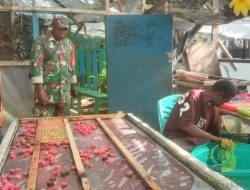 Babinsa 1710-03/Kuala Kencana Komsos dengan Petani Hidroponik