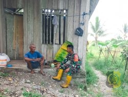 Babinsa Timika Berikan Motivasi Kepada Petani Jagung Wilayah Binaan