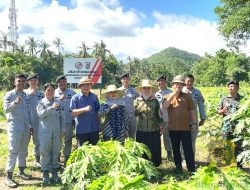 Kepala Bakamla RI Panen Kacang Tanah di Karangasem Bali