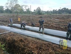 Satgas TMMD 124 Kodim 1710/Mimika Bersama Poktan Noken Naena Kejar Target Penanaman