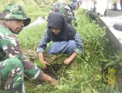 Satgas TMMD ke-124 Kodim 1501/Ternate Laksanakan Penghijauan