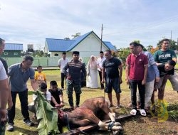 Kodim 1710/Mimika Gelar Sholat Idul Adha 1446 H Dilanjutkan Pemotongan Hewan Qurban
