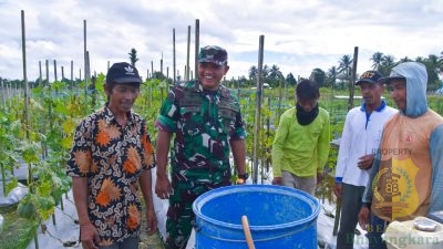 Dandim 1710/Mimika Tinjau Ketahanan Pangan di Lahan Percontohan Petani Binaan