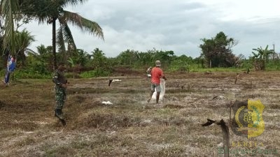 Babinsa Koramil 1710-03/Kuala Kencana Laksanakan Pendampingan Pertanian