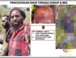 Prajurit TNI Lumpuhkan Tokoh OPM Enos Tipagau di Intan Jaya