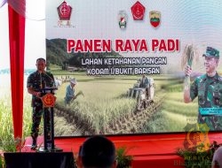 TNI Wujudkan Aksi Nyata Dukung Ketahanan Pangan Nasional