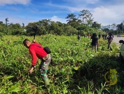 Anggota Kodim 1710/Mimika Bersihkan Lahan Satuan