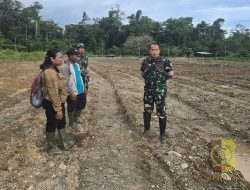 Dandim 1710/Mimika Gandeng PPL dan Kelompok Petani Manfaatkan Lahan Tidur Menjadi Lahan Produktif