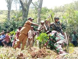 Koramil 1715-02/Kiwirok Kodim 1715/Yahukimo Bersama Masyarakat Tanam Pohon Kopi