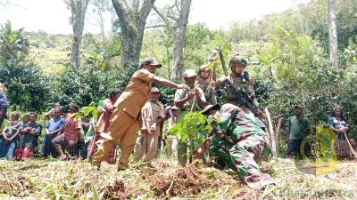 Koramil 1715-02/Kiwirok Kodim 1715/Yahukimo Bersama Masyarakat Tanam Pohon Kopi