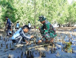 Satgas TMMD Kodim 1505/Tidore Galakkan Penanaman Mangrove di Oba Selatan
