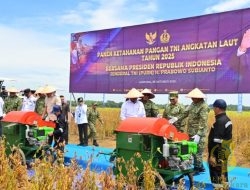 Panglima TNI Dampingi Menhan RI Tinjau Panen Kedelai Garuda Merah Putih di Lampung Utara