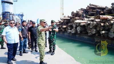 Kasum TNI Tinjau Keberhasilan Satgas PKH Amankan Ribuan Kubik Kayu Ilegal