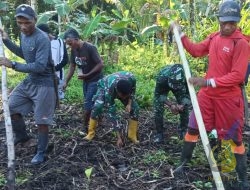 Satgas TMMD ke-126 Kodim 1505/Tidore Bersama Masyarakat Tanam Jagung di Lahan Ketahanan Pangan