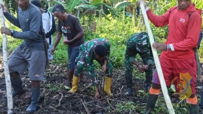 Satgas TMMD ke-126 Kodim 1505/Tidore Bersama Masyarakat Tanam Jagung di Lahan Ketahanan Pangan