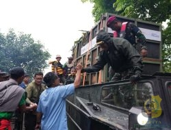 TNI Bantu Penyelamatan Badak di Taman Nasional Ujung Kulon